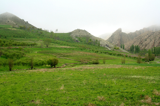 بهار شگفت انگیز در مشهد (عکس)