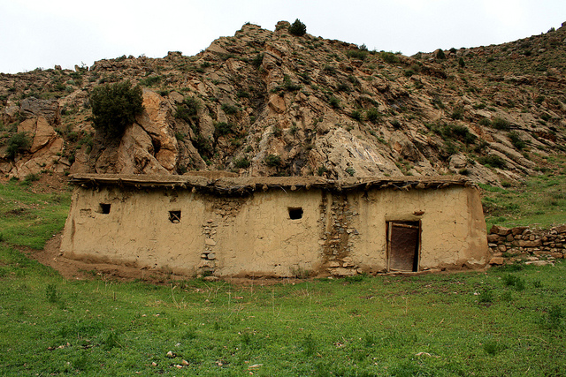 بهار شگفت انگیز در مشهد (عکس)