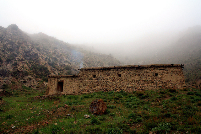 بهار شگفت انگیز در مشهد (عکس)