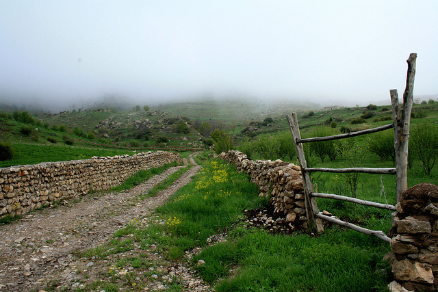 بهار شگفت انگیز در مشهد (عکس)