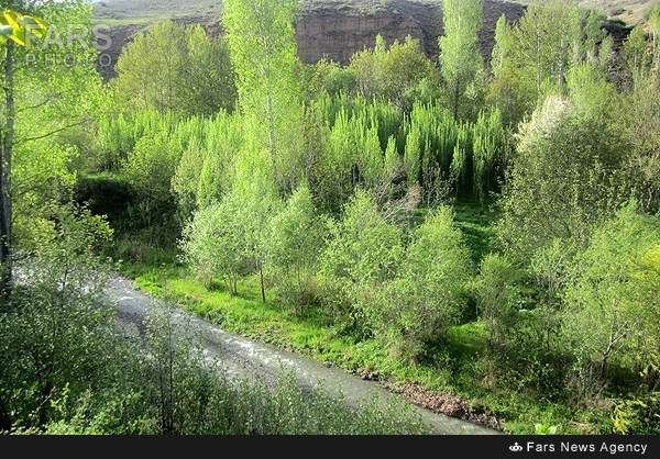 طبیعت بهاری کلیبر - آذربایجان شرقی (عکس)