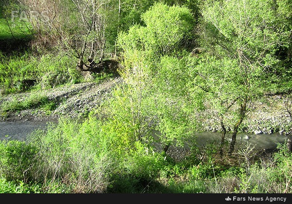 طبیعت بهاری کلیبر - آذربایجان شرقی (عکس)