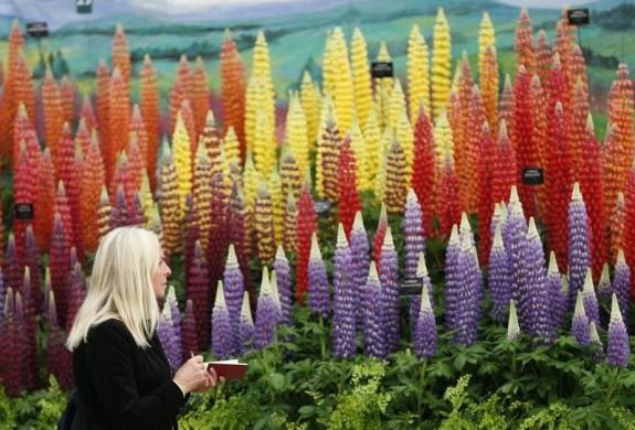 /گزارش تصویری/ باغ گل بسیار زیبا در لندن