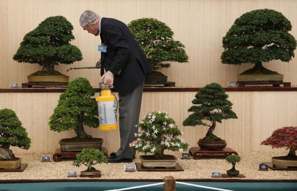 /گزارش تصویری/ باغ گل بسیار زیبا در لندن