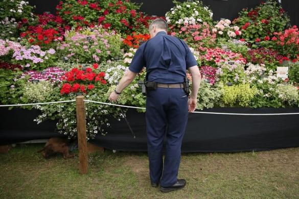 /گزارش تصویری/ باغ گل بسیار زیبا در لندن