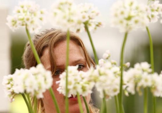 /گزارش تصویری/ باغ گل بسیار زیبا در لندن