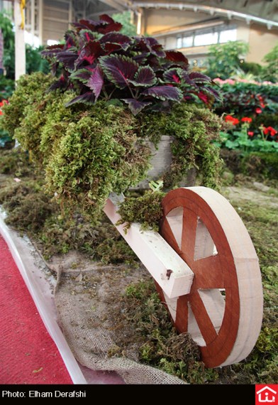 /گزارش تصویری/ دوازدهمین نمایشگاه بین المللی گل و گیاه در بوستان گفتگو