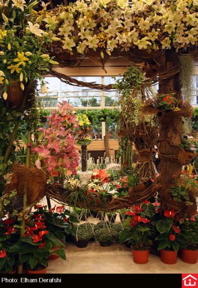 /گزارش تصویری/ دوازدهمین نمایشگاه بین المللی گل و گیاه در بوستان گفتگو