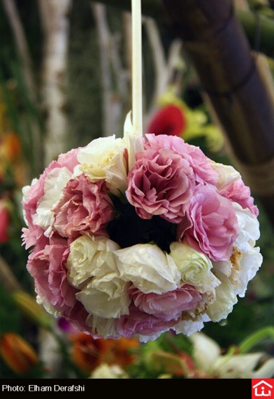 /گزارش تصویری/ دوازدهمین نمایشگاه بین المللی گل و گیاه در بوستان گفتگو