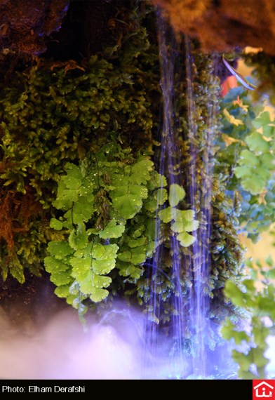 /گزارش تصویری/ دوازدهمین نمایشگاه بین المللی گل و گیاه در بوستان گفتگو