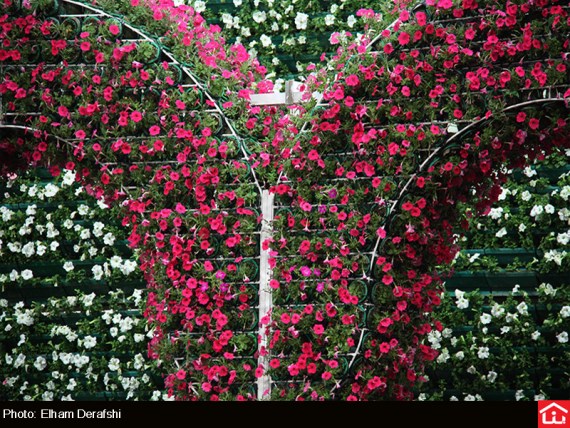 /گزارش تصویری/ دوازدهمین نمایشگاه بین المللی گل و گیاه در بوستان گفتگو