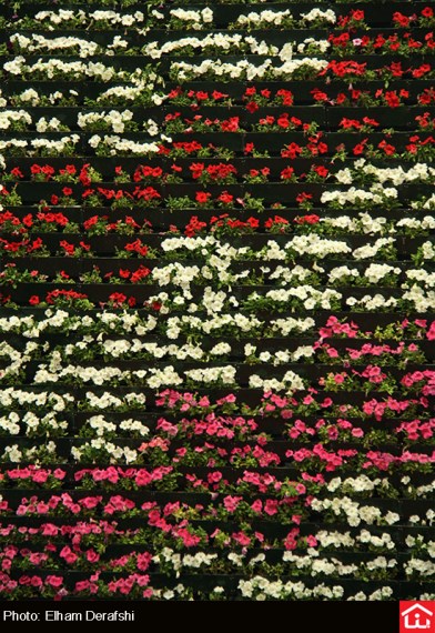 /گزارش تصویری/ دوازدهمین نمایشگاه بین المللی گل و گیاه در بوستان گفتگو