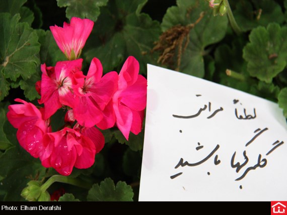 /گزارش تصویری/ دوازدهمین نمایشگاه بین المللی گل و گیاه در بوستان گفتگو