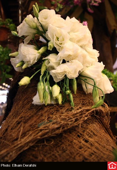 /گزارش تصویری/ دوازدهمین نمایشگاه بین المللی گل و گیاه در بوستان گفتگو