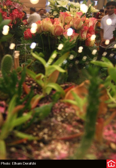 /گزارش تصویری/ دوازدهمین نمایشگاه بین المللی گل و گیاه در بوستان گفتگو