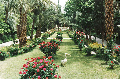 Iranian gardens - bagh-e Golshah Tabas