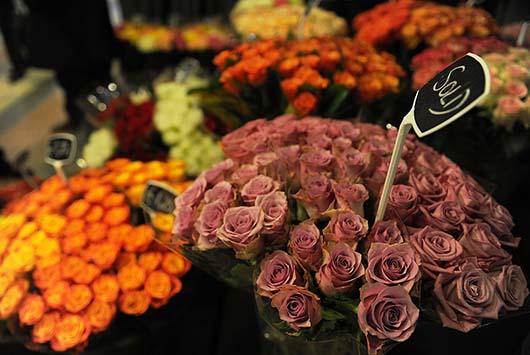 نمایشگاه بین الملی گل در پایتخت کنیا