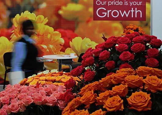 نمایشگاه بین الملی گل در پایتخت کنیا