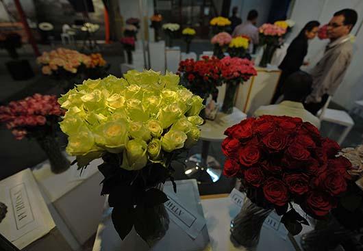 نمایشگاه بین الملی گل در پایتخت کنیا