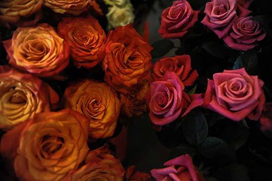 نمایشگاه بین الملی گل در پایتخت کنیا