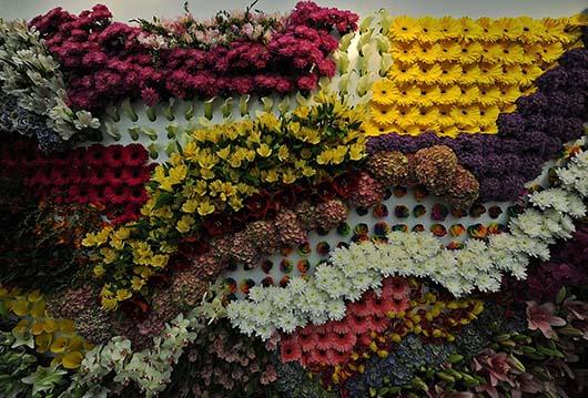 نمایشگاه بین الملی گل در پایتخت کنیا