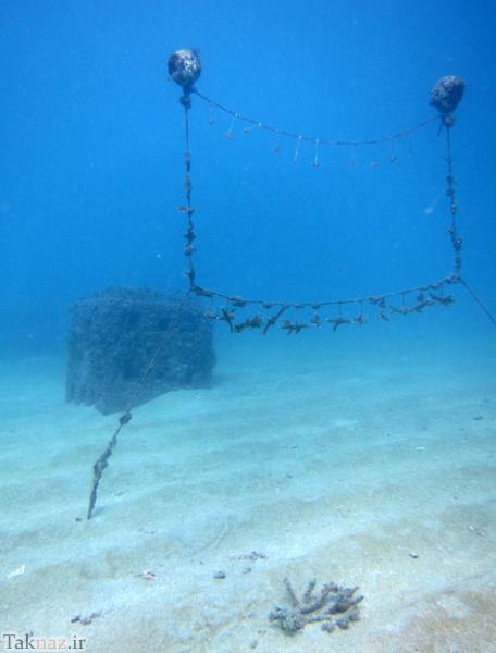 عکس های زیبا از گلخانه ای در اعماق دریا