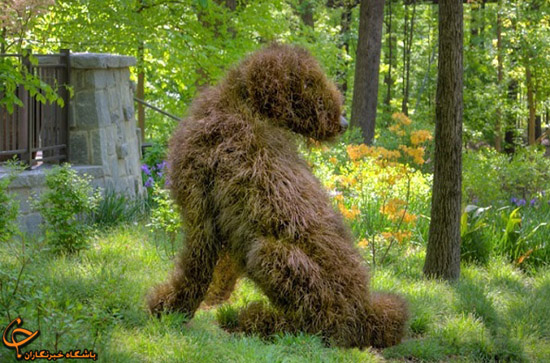 مجسمه‌های زنده! +عکس