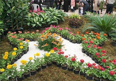 جشنواره گل و گیاه
