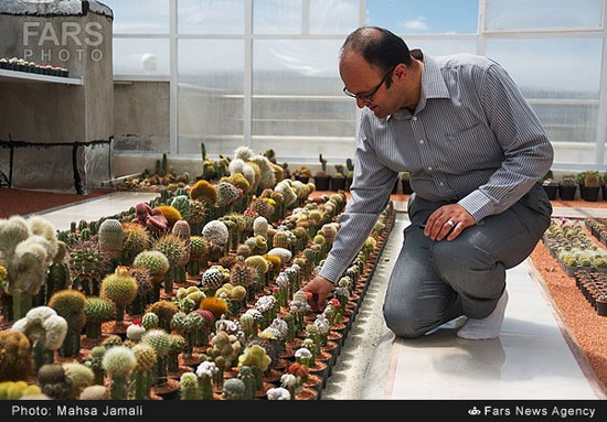 گلخانه جالب در بام خانه زوج تبریزی (عکس)
