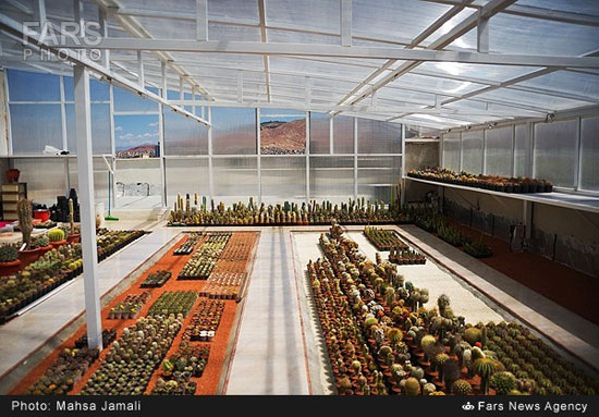 گلخانه جالب در بام خانه زوج تبریزی (عکس)