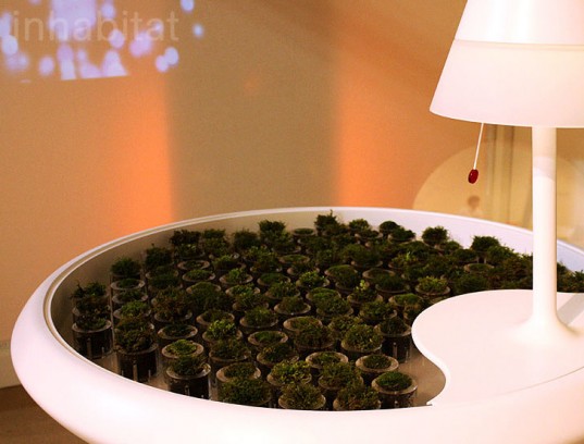 1-Biophotovoltaics-Moss-Planter-Table-1-537x408