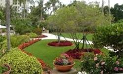 خبرگزاری فارس: کاشت 3 هزار اصله درخت در سجاس