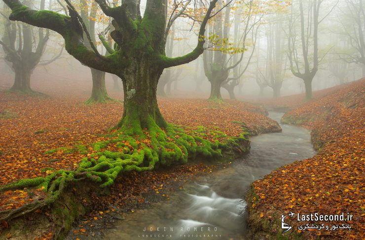  پارک طبیعی Gorbea، ایالات آلوا و ویزکایا (Alva-Vizcaya)، باسک، اسپانیا   