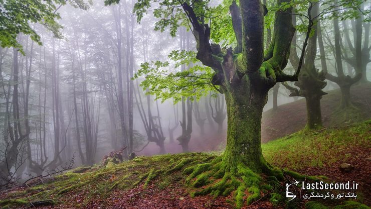  پارک طبیعی Gorbea، ایالات آلوا و ویزکایا (Alva-Vizcaya)، باسک، اسپانیا   