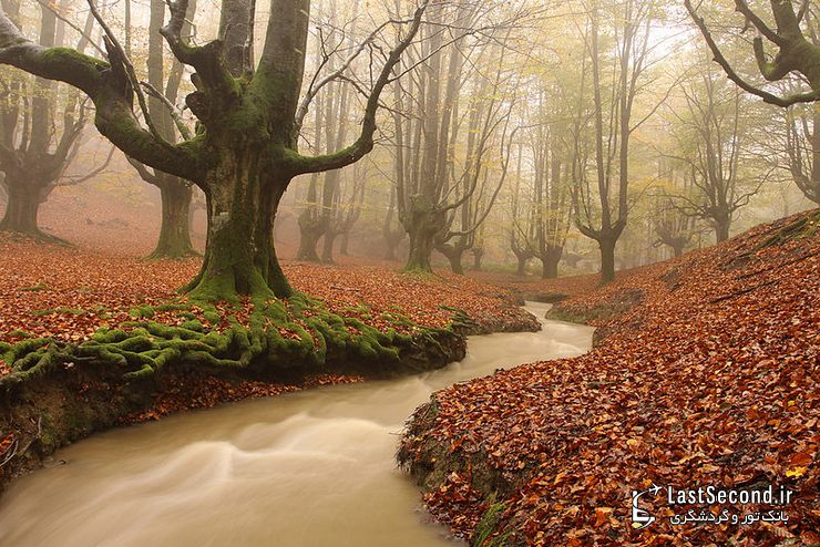 پارک طبیعی Gorbea، ایالات آلوا و ویزکایا (Alva-Vizcaya)، باسک، اسپانیا   