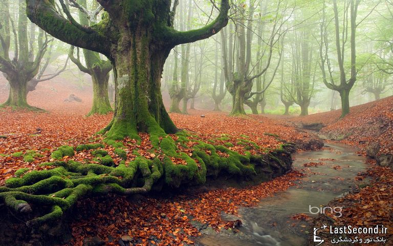  پارک طبیعی Gorbea، ایالات آلوا و ویزکایا (Alva-Vizcaya)، باسک، اسپانیا   
