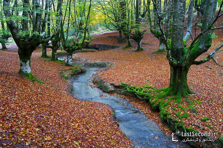  پارک طبیعی Gorbea، ایالات آلوا و ویزکایا (Alva-Vizcaya)، باسک، اسپانیا   