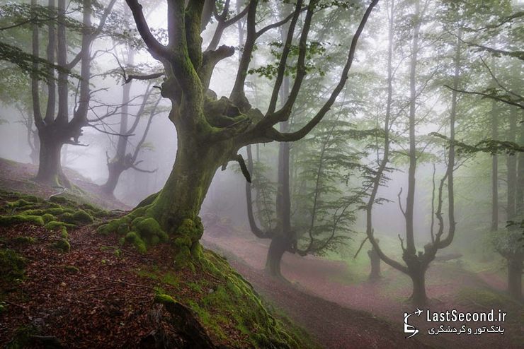  پارک طبیعی Gorbea، ایالات آلوا و ویزکایا (Alva-Vizcaya)، باسک، اسپانیا   