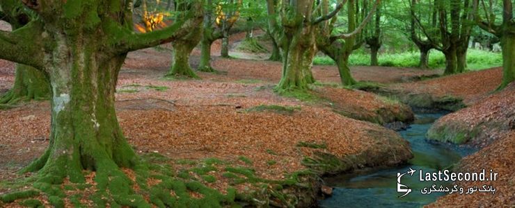  پارک طبیعی Gorbea، ایالات آلوا و ویزکایا (Alva-Vizcaya)، باسک، اسپانیا   