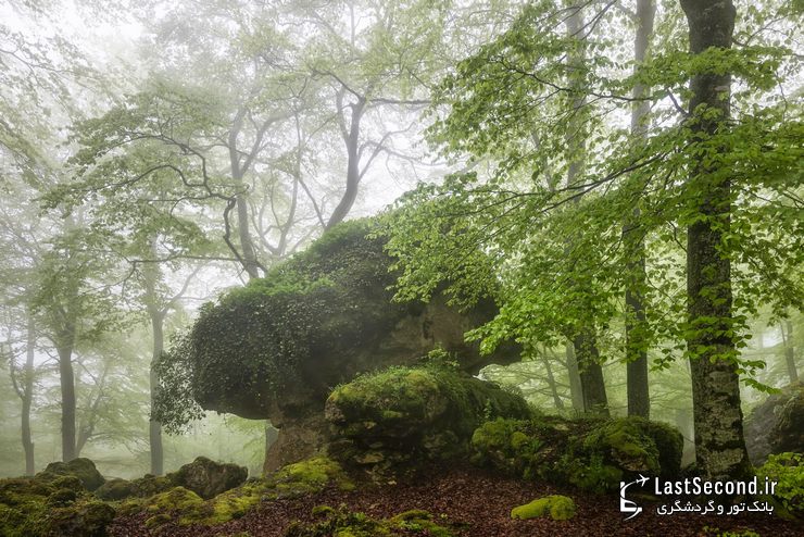  پارک طبیعی Gorbea، ایالات آلوا و ویزکایا (Alva-Vizcaya)، باسک، اسپانیا   