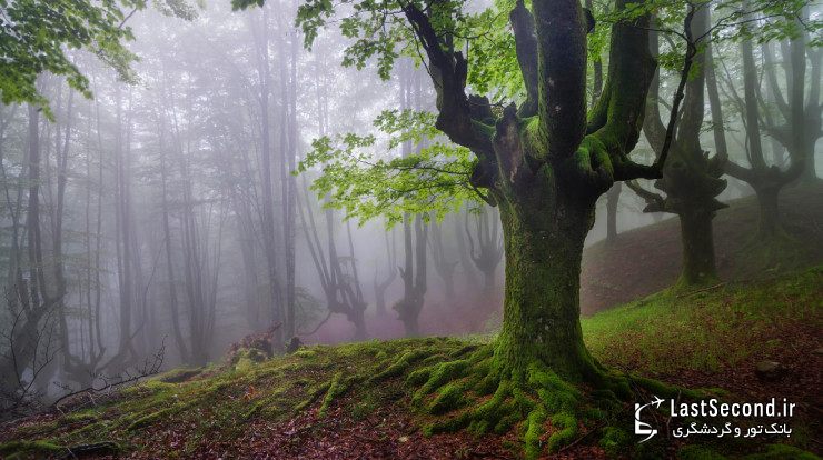  پارک طبیعی Gorbea، ایالات آلوا و ویزکایا (Alva-Vizcaya)، باسک، اسپانیا   