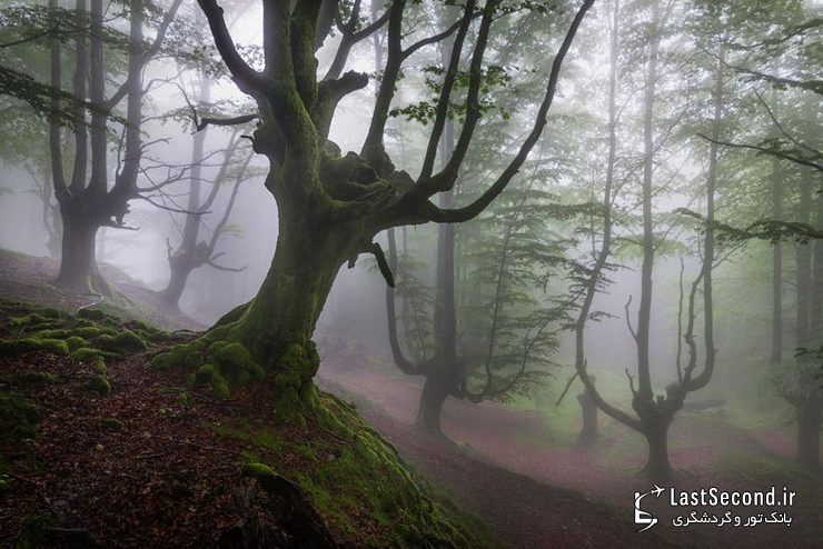  پارک طبیعی Gorbea، ایالات آلوا و ویزکایا (Alva-Vizcaya)، باسک، اسپانیا   