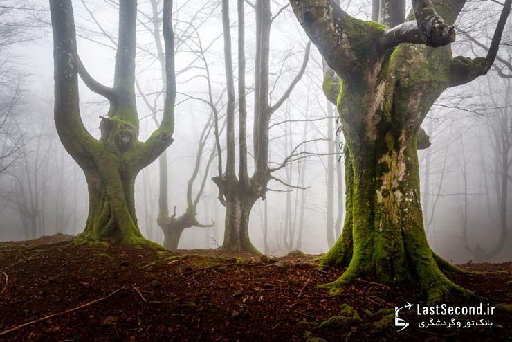  پارک طبیعی Gorbea، ایالات آلوا و ویزکایا (Alva-Vizcaya)، باسک، اسپانیا   