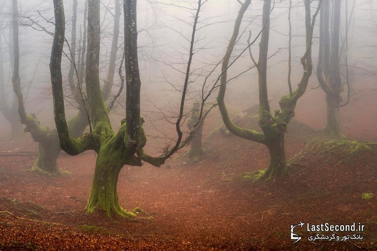  پارک طبیعی Gorbea، ایالات آلوا و ویزکایا (Alva-Vizcaya)، باسک، اسپانیا   