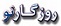 فرستادن گل به فضا