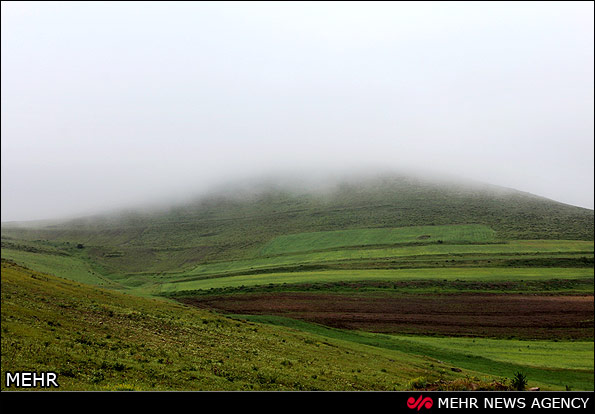 طبیعت جنگل های ارسباران - تبریز (عکس)