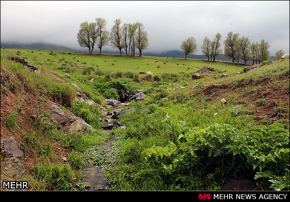 طبیعت جنگل های ارسباران - تبریز (عکس)