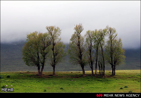 طبیعت جنگل های ارسباران - تبریز (عکس)