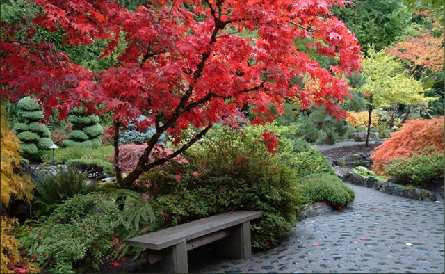 تصاویر زیباترین و بزرگترین باغ گل دنیا