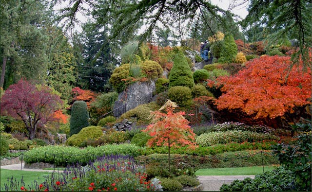 تصاویر زیباترین و بزرگترین باغ گل دنیا